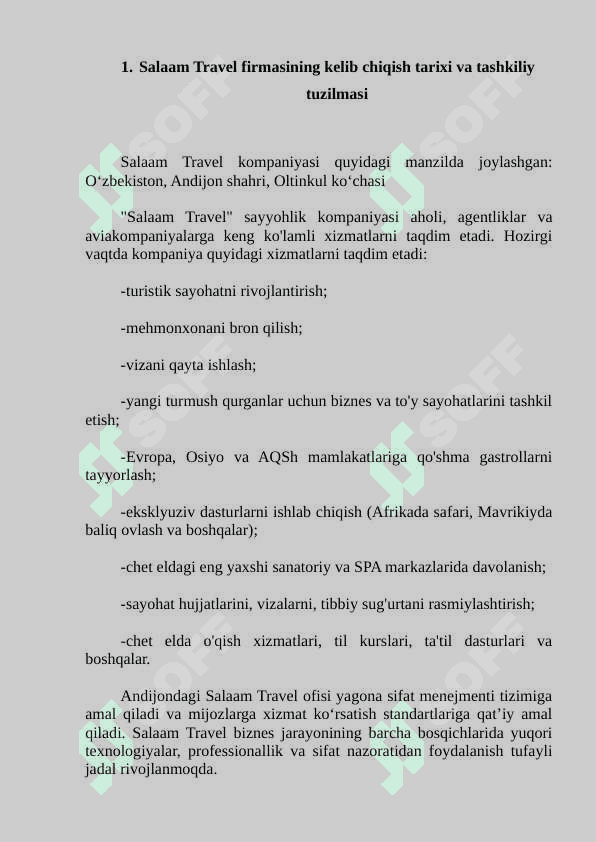Salaam Travel firmasining kelib chiqish tarixi va tashkiliy tuzilmasi 5