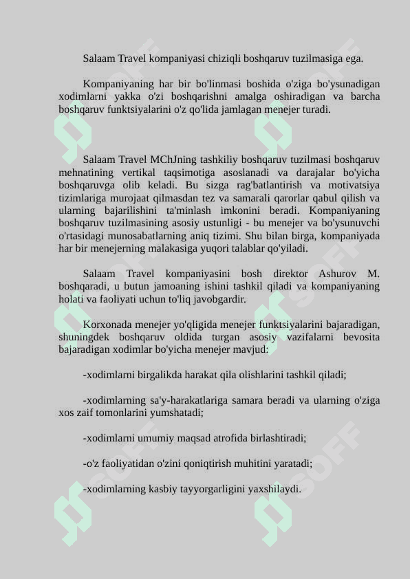 Salaam Travel firmasining kelib chiqish tarixi va tashkiliy tuzilmasi 6