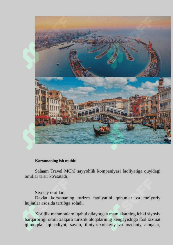 Salaam Travel firmasining kelib chiqish tarixi va tashkiliy tuzilmasi 8