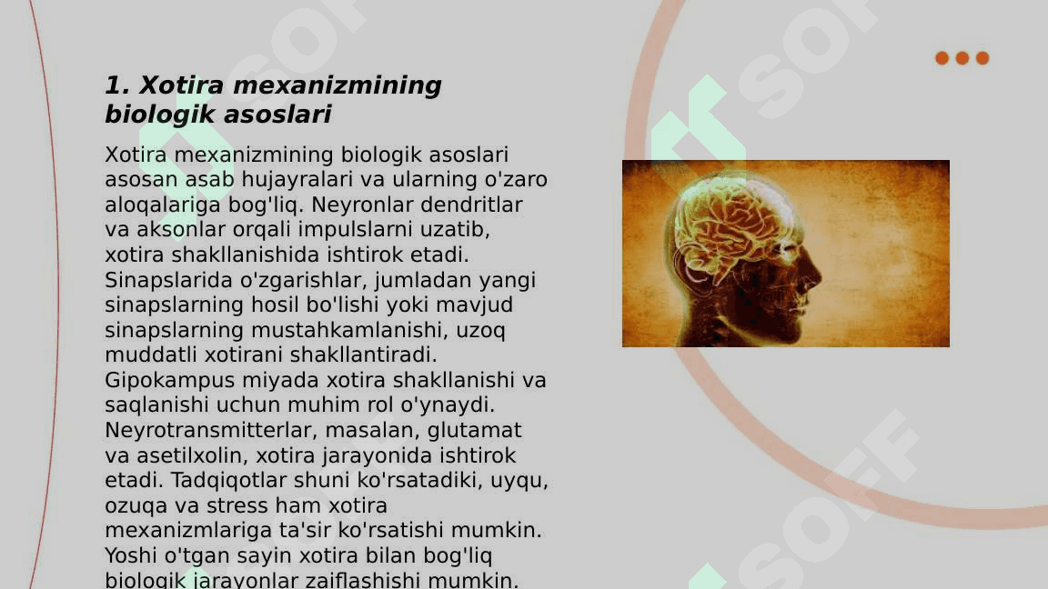 Xotira mexanizmi yoshga oid xususiyatlari 3