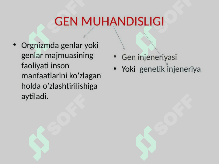 GEN MUHANDISLIGI TADQIQOT OBYEKTLARI VA  RIVOJLANISH TARIXI 2