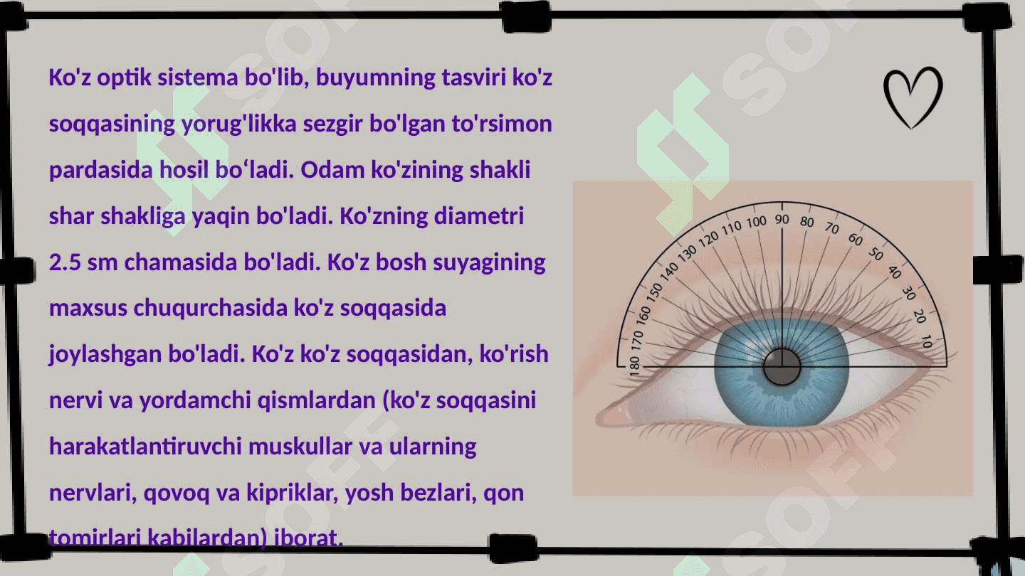 Ko‘zning optik sistemasi 2