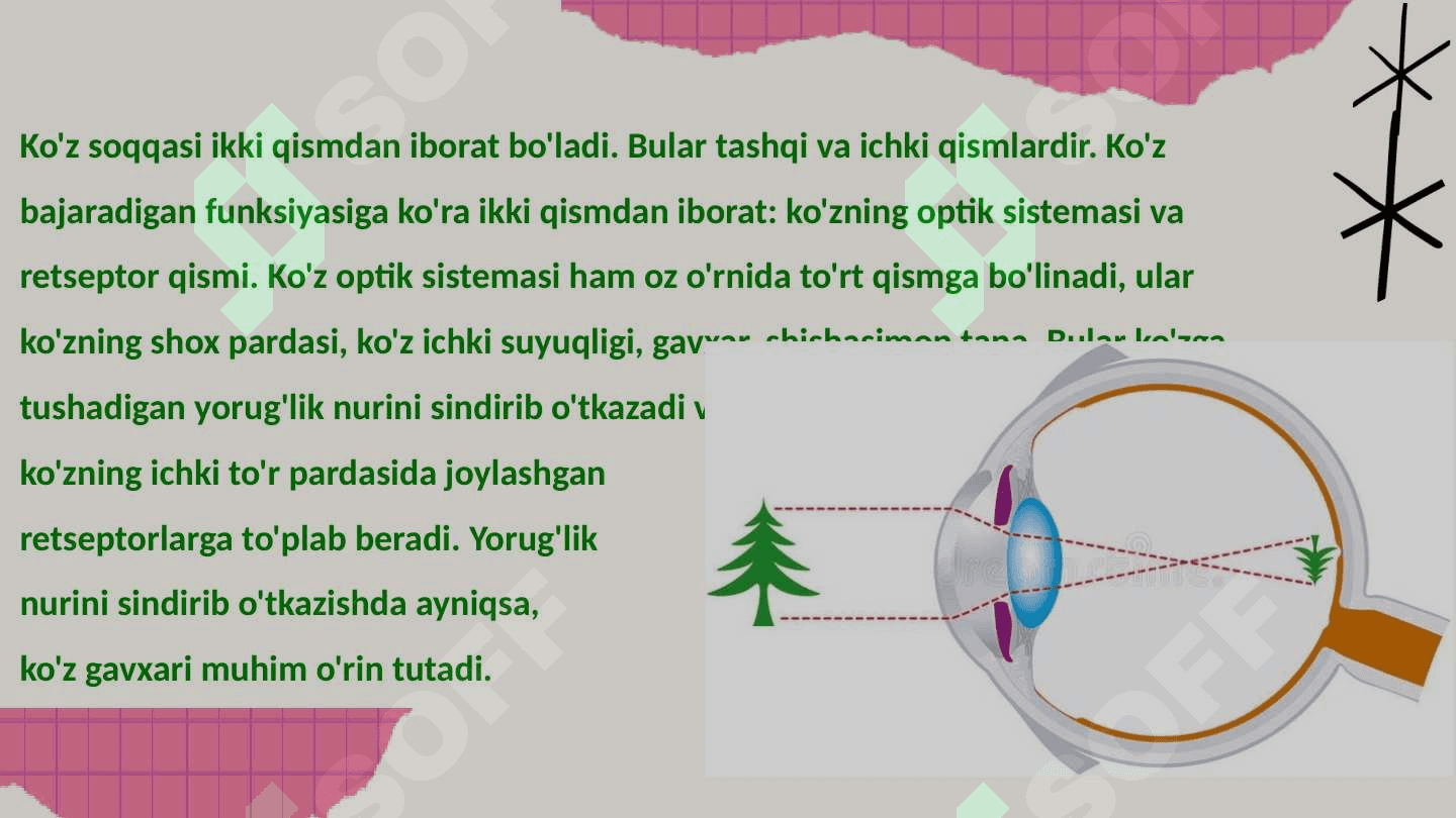Ko‘zning optik sistemasi 3