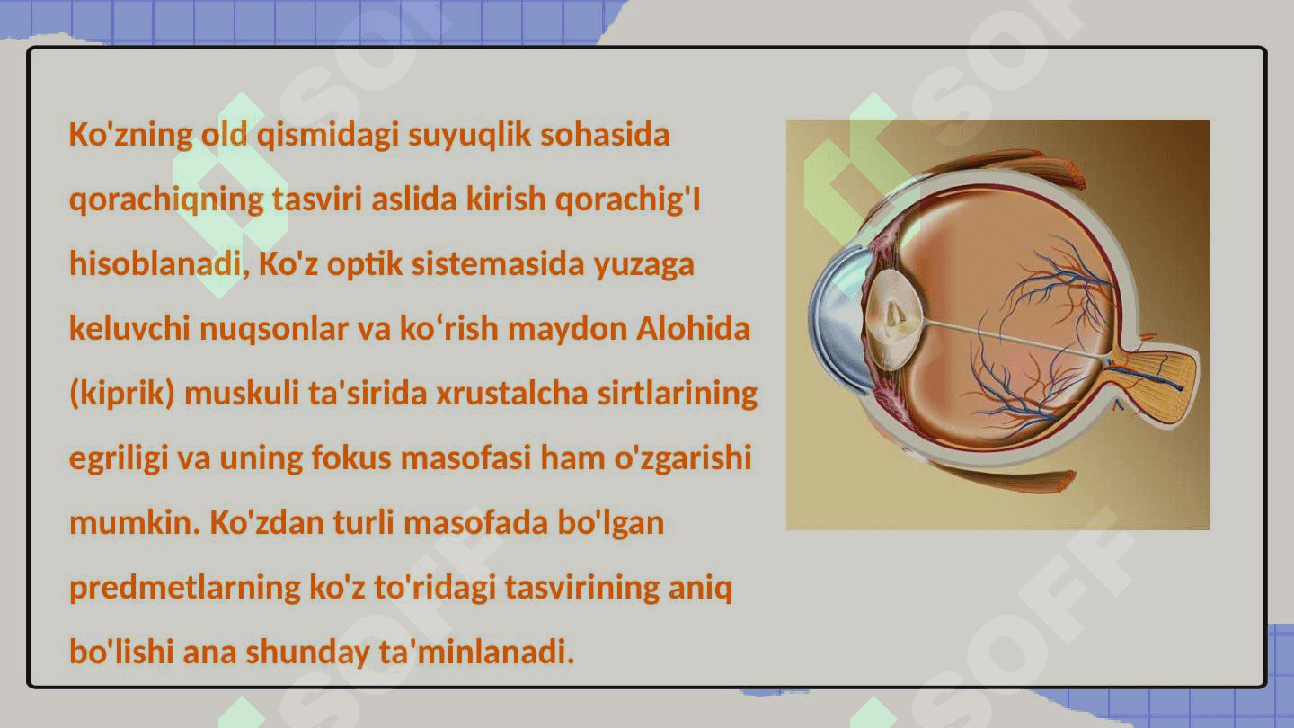 Ko‘zning optik sistemasi 7