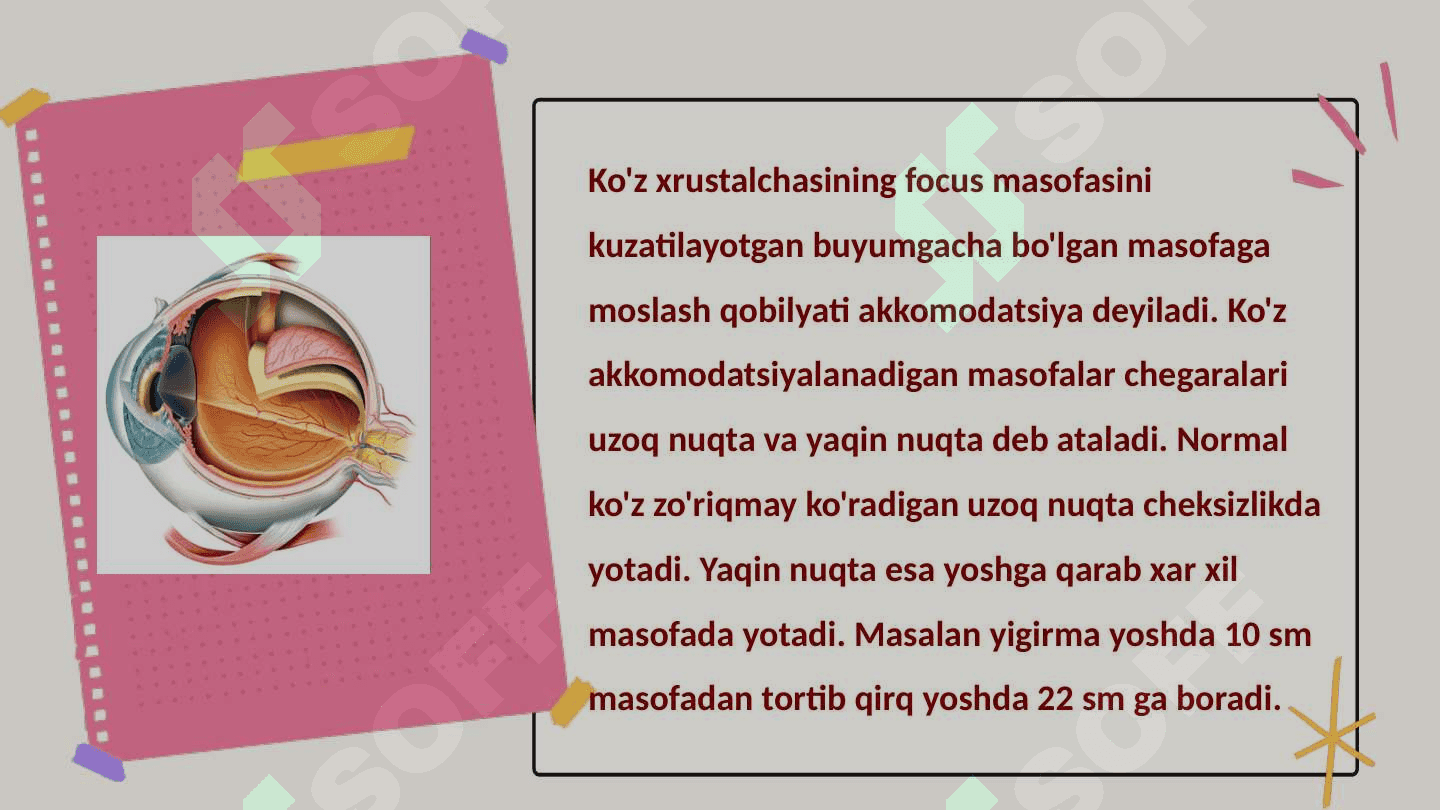 Ko‘zning optik sistemasi 8