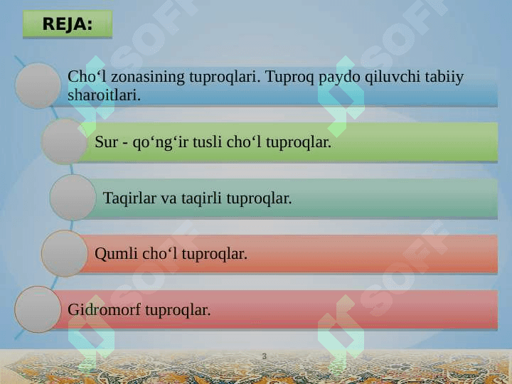 CHO‘L MINTAQASI TUPROQLARI. GIDROMORF TUPROQLAR 3