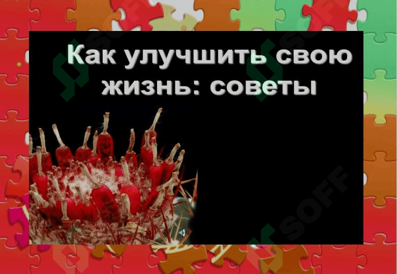 Кактус 3