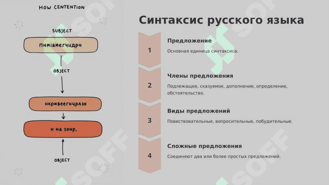 Русский язык – один из развитых языков мира 6