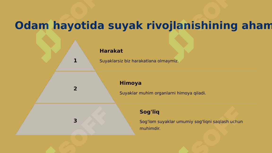 Suyak o'sishida turmush tarzining va tashqi omillarning ta'siri 5