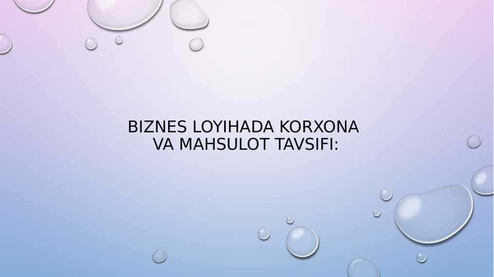 Biznes loyihada korxona va mahsulot tavsifi