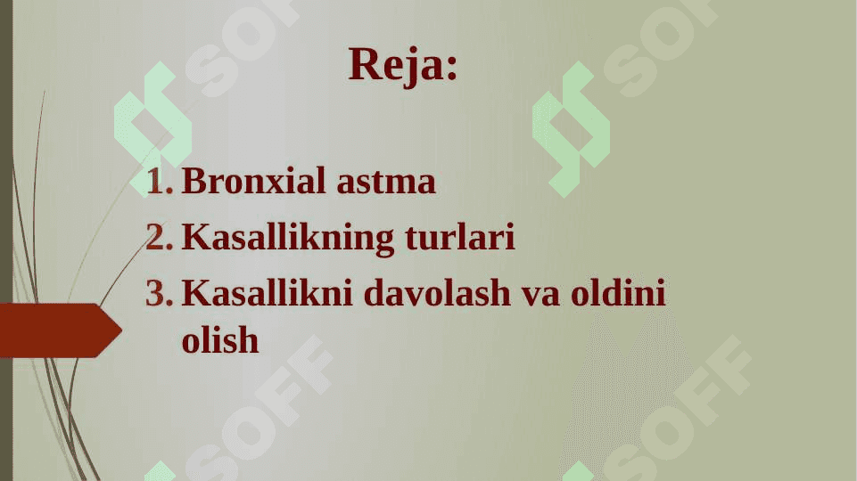 Bronxial astma 2