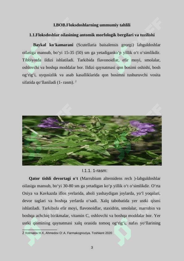Floksdoshlar oilasi 4