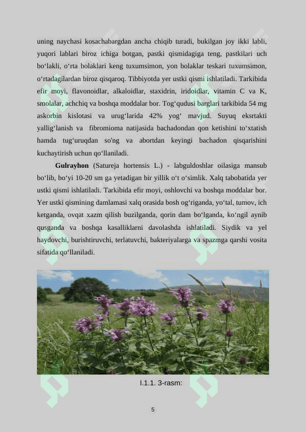 Floksdoshlar oilasi 6