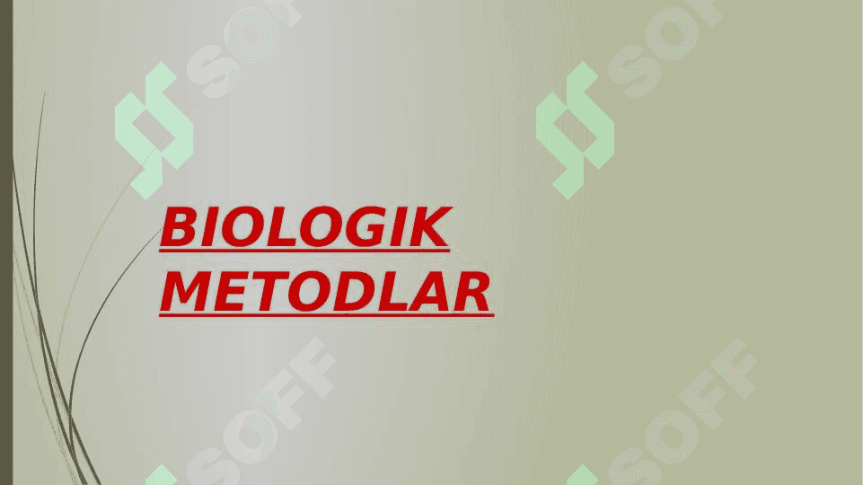 O’QUVCHILARNING MUSTAQIL ISHLARINI TASHKIL ETISH  METODIKASI 3