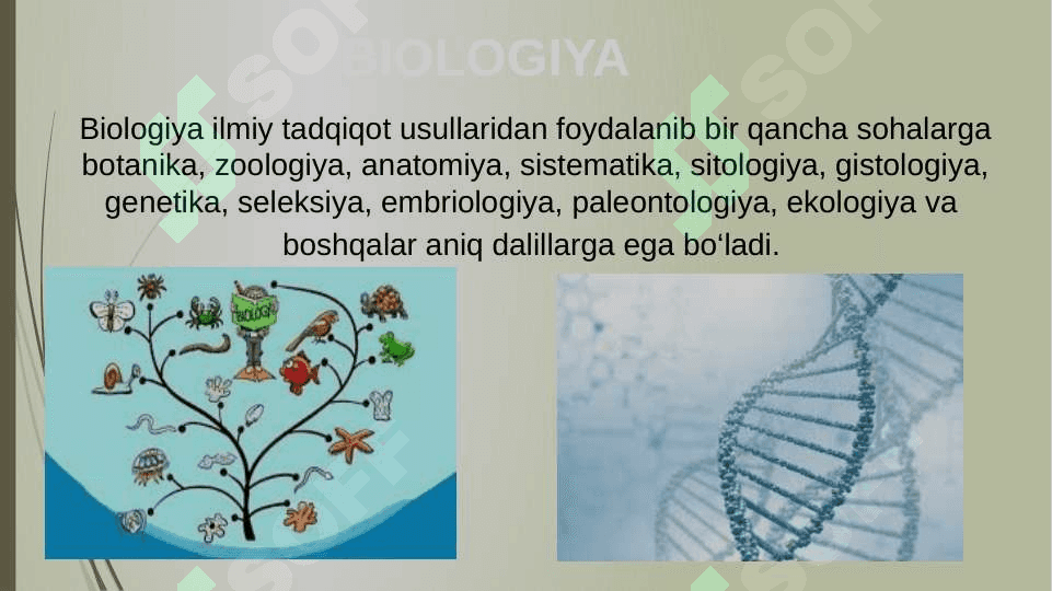 O’QUVCHILARNING MUSTAQIL ISHLARINI TASHKIL ETISH  METODIKASI 4