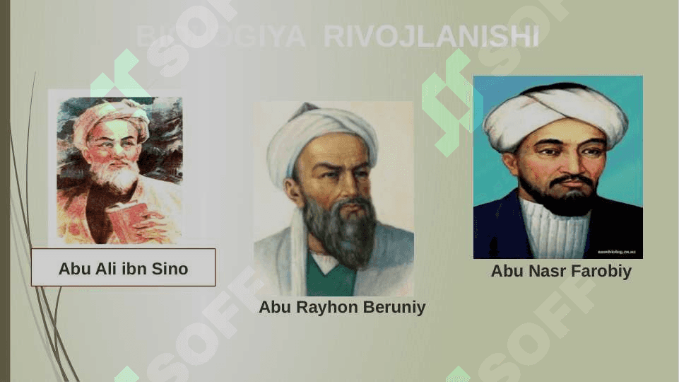 O’QUVCHILARNING MUSTAQIL ISHLARINI TASHKIL ETISH  METODIKASI 5