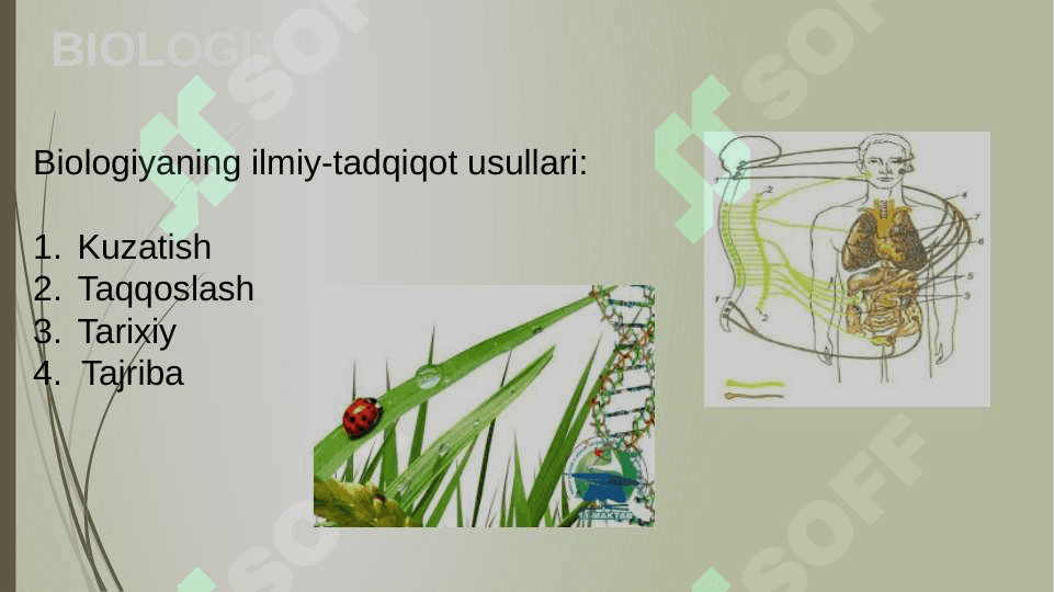 O’QUVCHILARNING MUSTAQIL ISHLARINI TASHKIL ETISH  METODIKASI 6