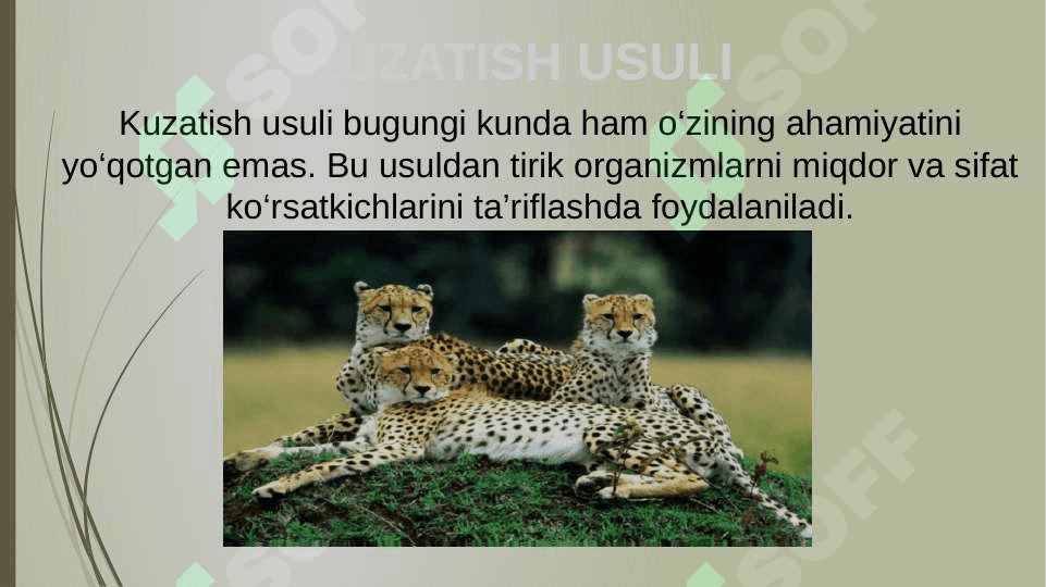O’QUVCHILARNING MUSTAQIL ISHLARINI TASHKIL ETISH  METODIKASI 8