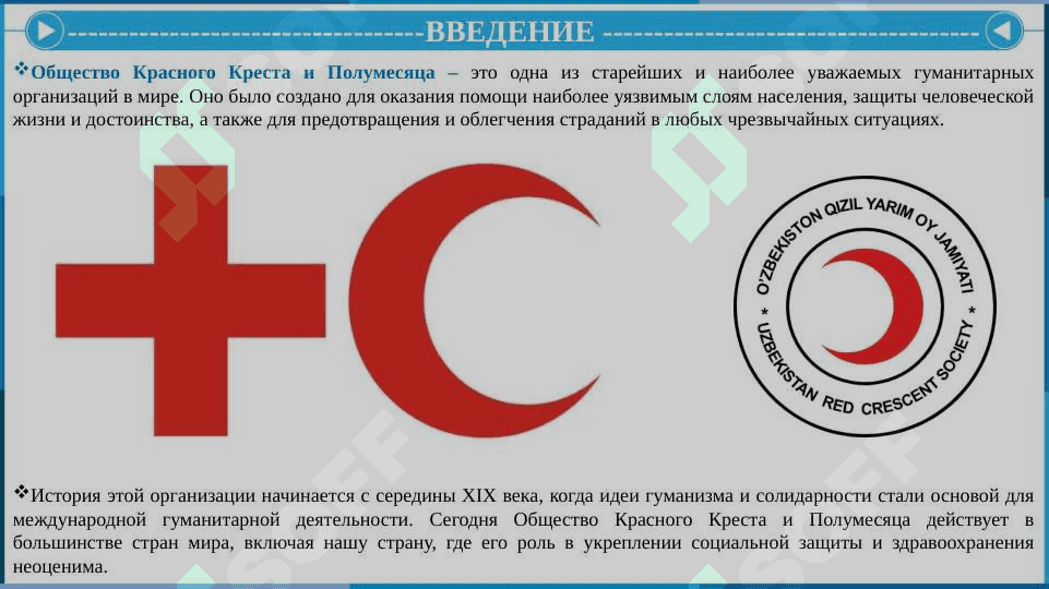 Общество Красного Креста и Полумесяца 3