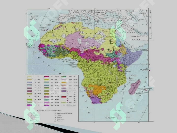 G‘arbiy Afrika xalqlari 2
