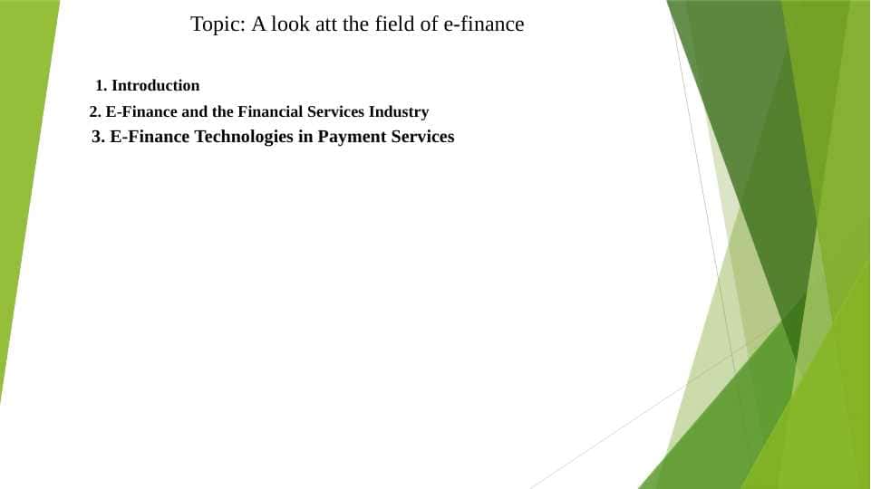 A look att the field of e-finance 1