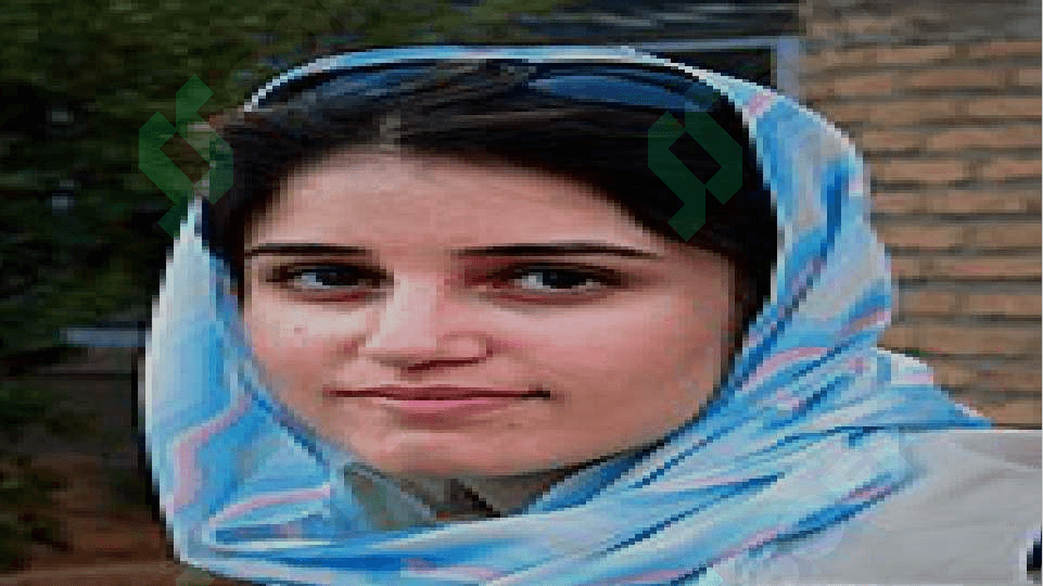 Birinchi jahon urushi davrida Eron 3