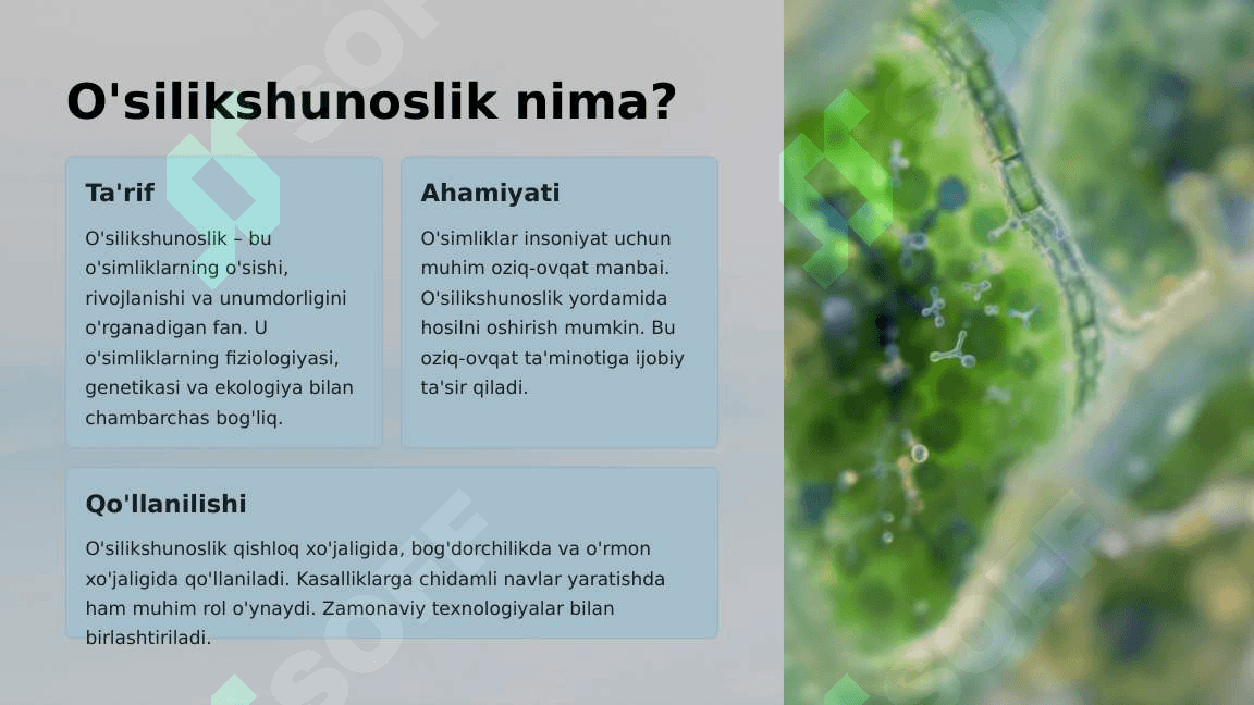 O'simlikshunoslik Statistikasi 2