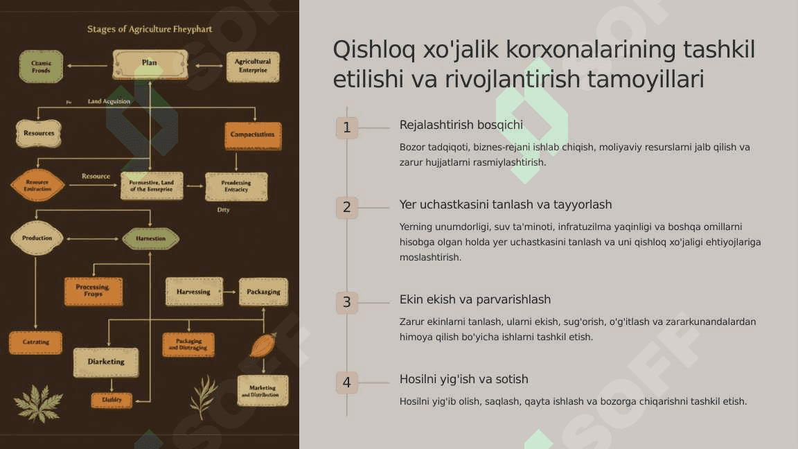 Qishloq xo'jalik korxonalarini yer territoriyalarini rejalashtirish va tashkil etish . 2
