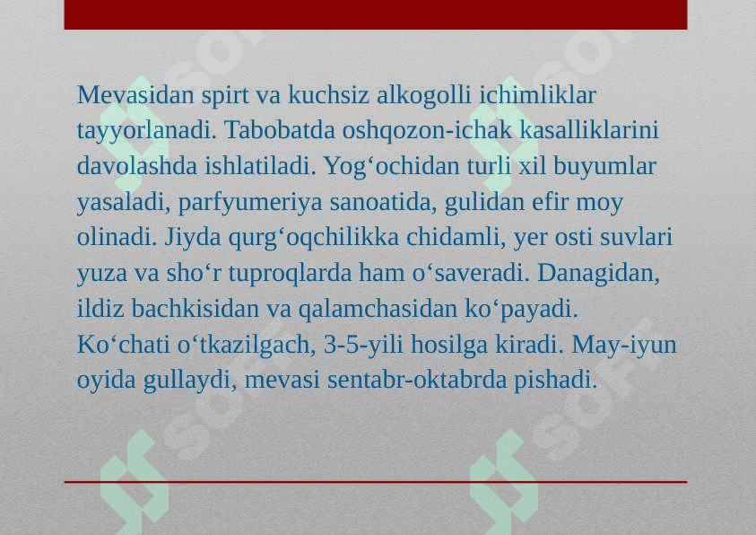 Jiydanamolar oilasi 6