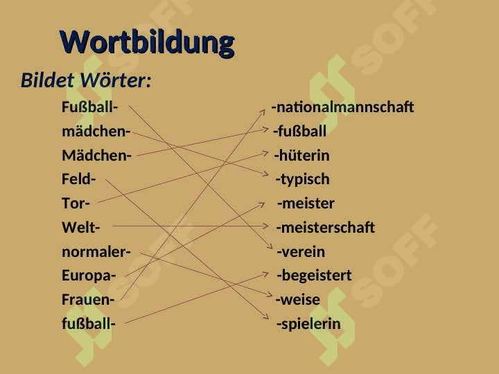 Jungentypische Sportarten Mädchen und Fußball 3