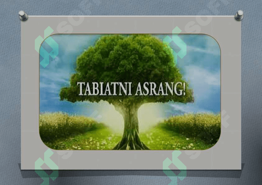 O'ZBEKISTON RESPUBLIKASI TABIATNI ASRASHGA DOIR QONUNLARNI O'RGANISH TAHLIL QILISH 3