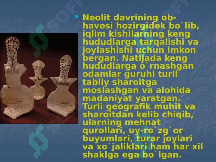 O`rta Osiyoda Neolit davri 3