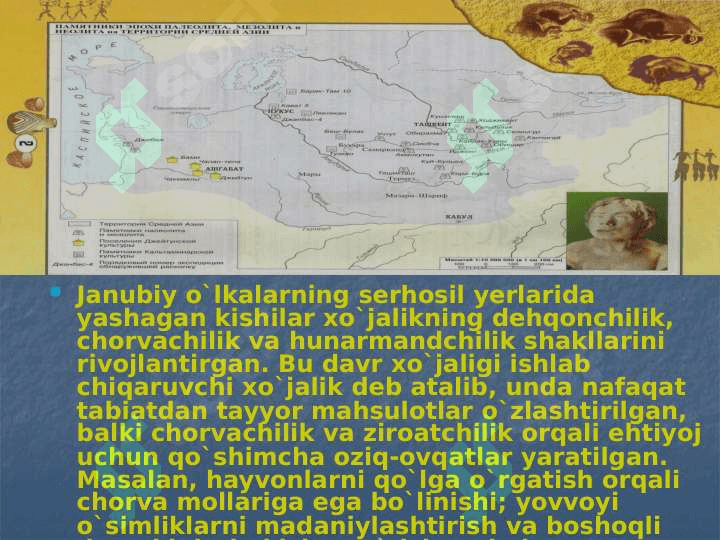 O`rta Osiyoda Neolit davri 4