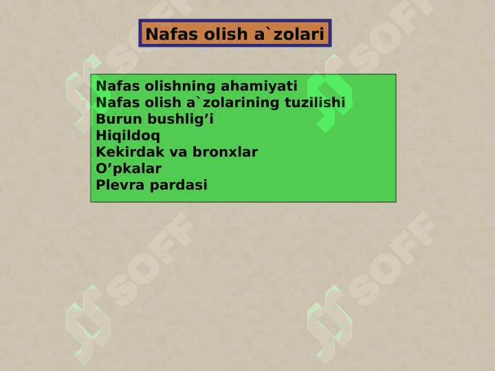 NAFAS GIGIYENASI 2