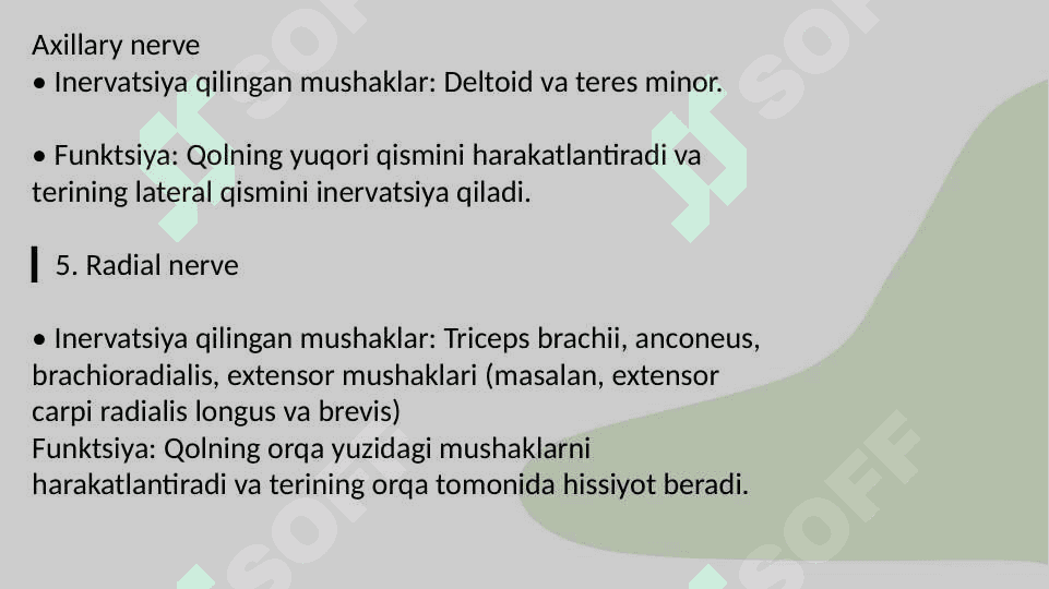 Qoʻl va Oyoq inervatsiyasi Chigallari 6