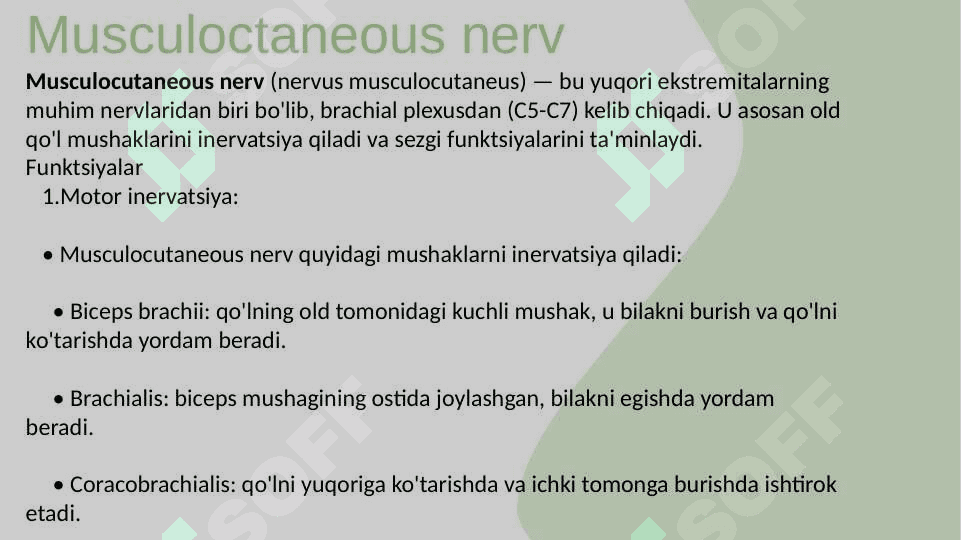 Qoʻl va Oyoq inervatsiyasi Chigallari 8