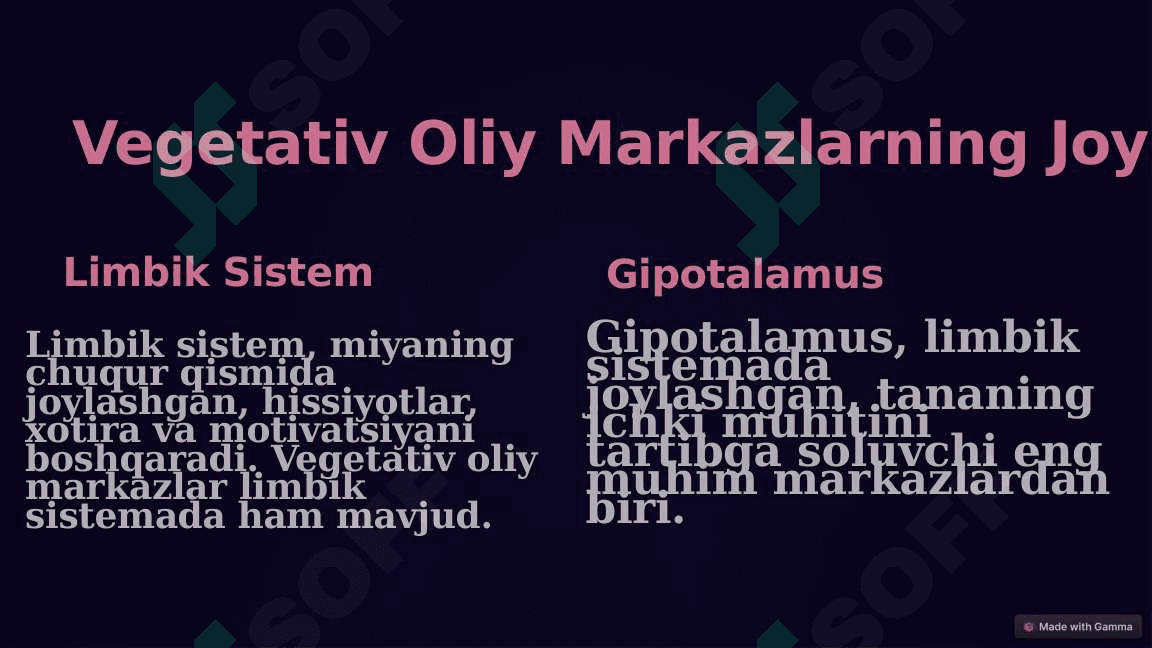 Vegetativ Oliy Markazlar va ularning funksional ahamiyati 2