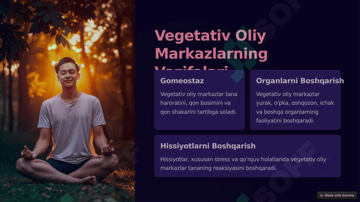 Vegetativ Oliy Markazlar va ularning funksional ahamiyati 4