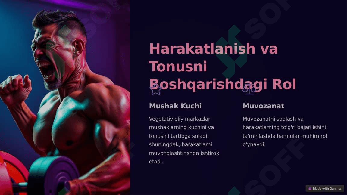 Vegetativ Oliy Markazlar va ularning funksional ahamiyati 5
