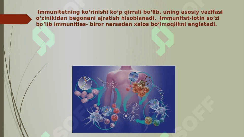 Immunopatologiya hozirgi zamon klassifikatsiyasi tug’ma va orttirilgan immun tanqisliklari 3