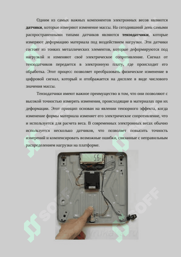 Обзор МП систем электронные весы 6