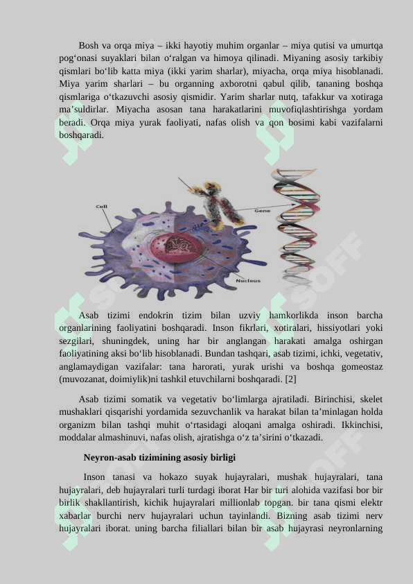 HULQ-ATVORNING PSIXOFOZIOLOGIK ASOSI 4
