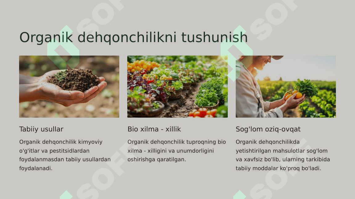 Organik dehqonchilikda lalmi yerda dukkakli -don ekinlarini erish. 2