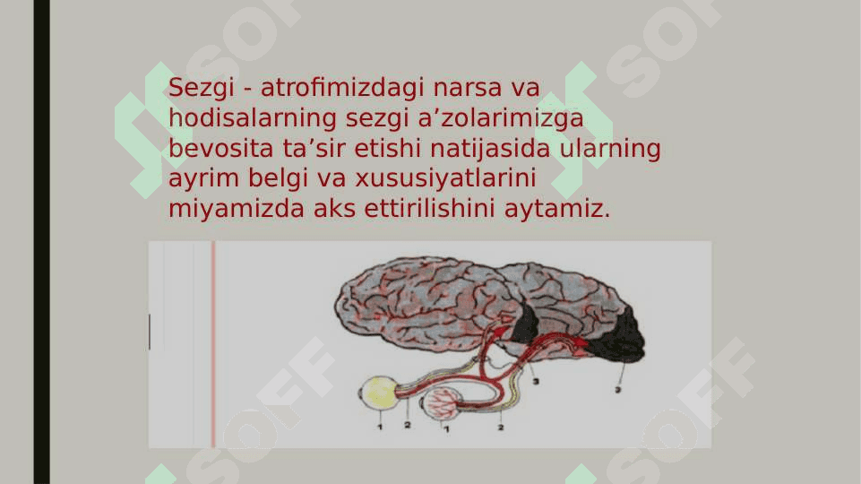 Sezgi 4