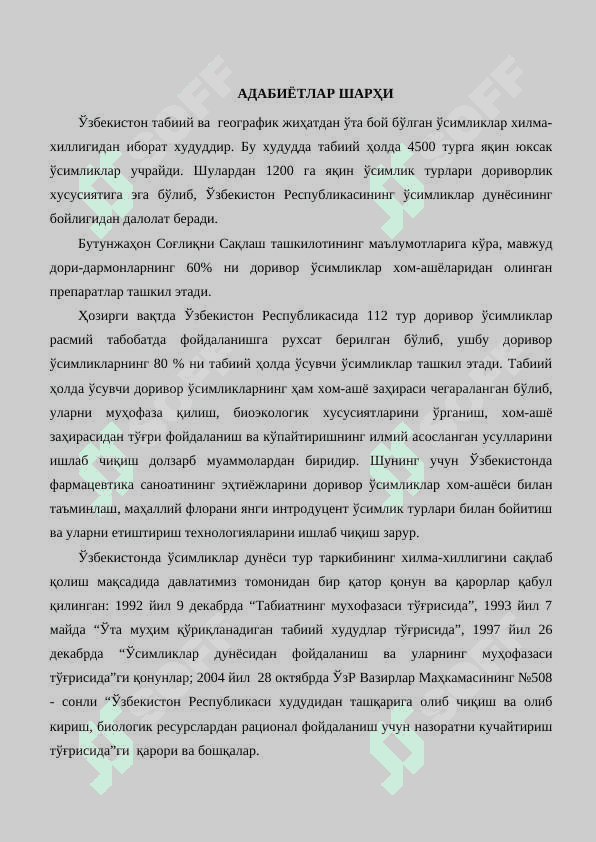 Thormopsis alterniflora ўсимлигини биоэкологияси ва етиштириш технологияси 5
