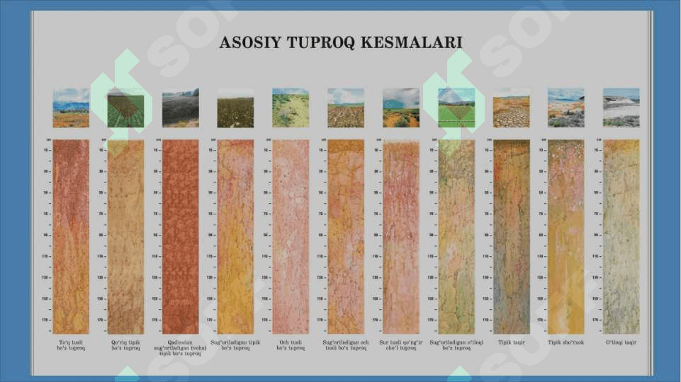 O’zbekiston tuproqlari profili (Namangan viloyati misolida) 2