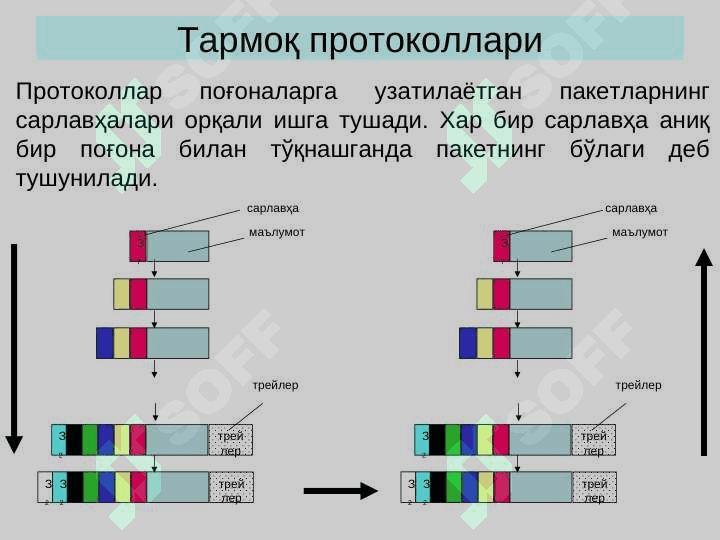 ТАРМОҚ ПРОТОКОЛЛАРИ 3