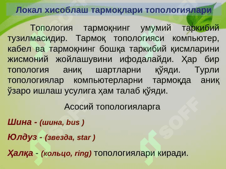 Локал хисоблаш тармоқлари топологиялари 2