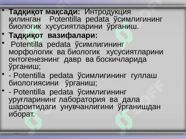“Potentilla  pedata  ўсимлигининг  биологиясини   ўрганиш” 4