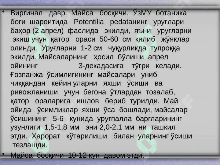 “Potentilla  pedata  ўсимлигининг  биологиясини   ўрганиш” 7